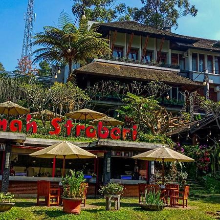 Rumah Stroberi Organic Farm & Family Lodge Lembang Εξωτερικό φωτογραφία