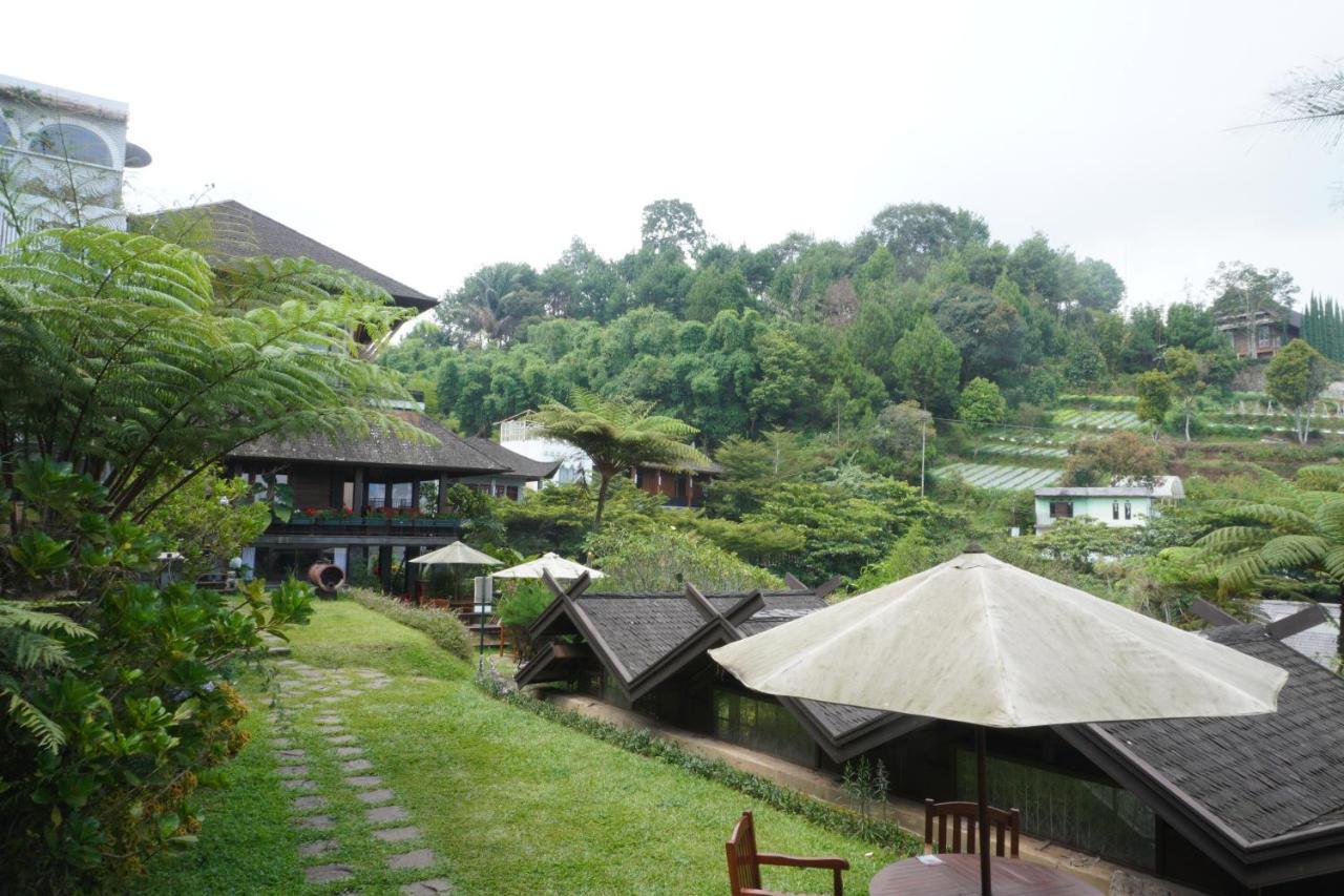 Rumah Stroberi Organic Farm & Family Lodge Lembang Εξωτερικό φωτογραφία