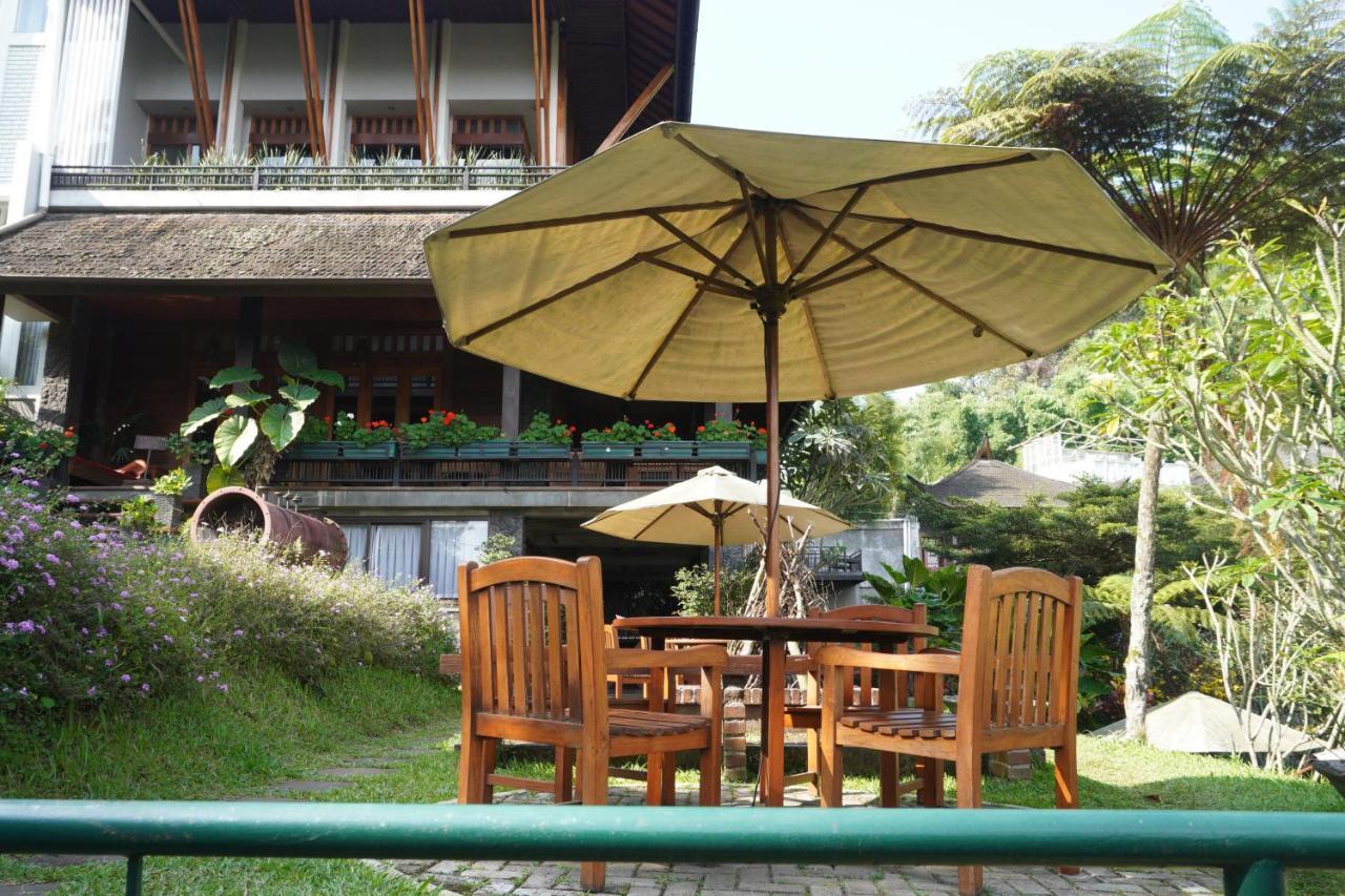Rumah Stroberi Organic Farm & Family Lodge Lembang Εξωτερικό φωτογραφία