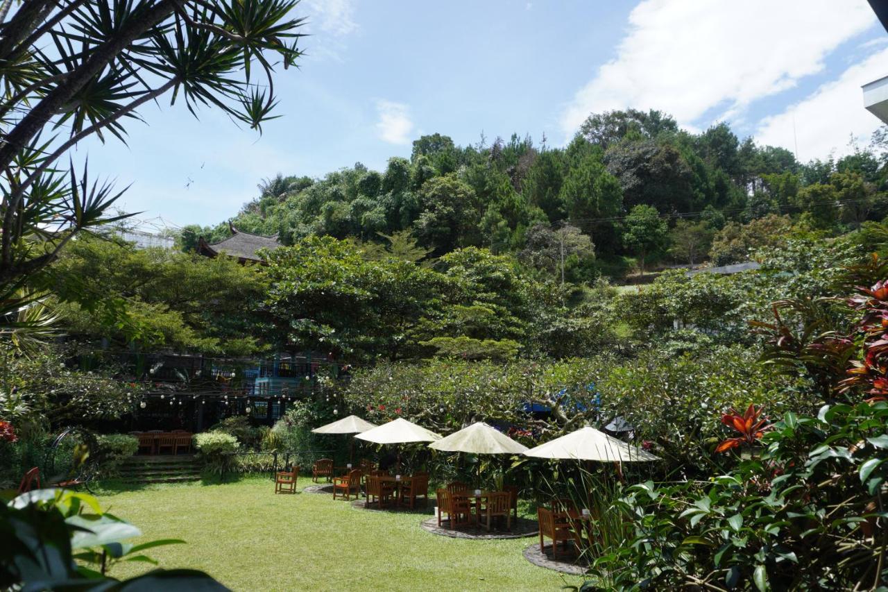 Rumah Stroberi Organic Farm & Family Lodge Lembang Εξωτερικό φωτογραφία