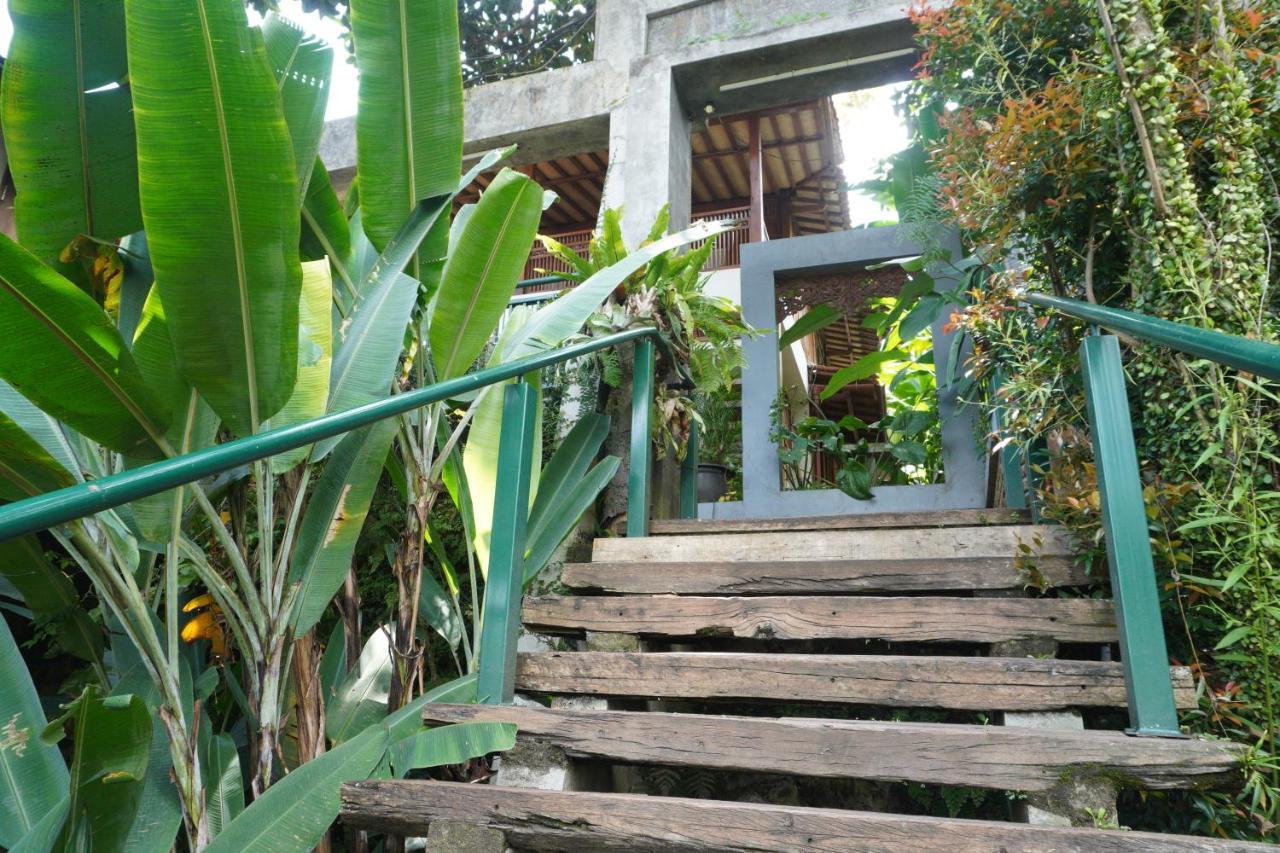 Rumah Stroberi Organic Farm & Family Lodge Lembang Εξωτερικό φωτογραφία