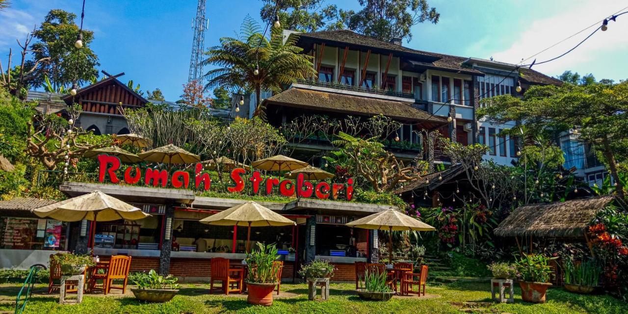 Rumah Stroberi Organic Farm & Family Lodge Lembang Εξωτερικό φωτογραφία