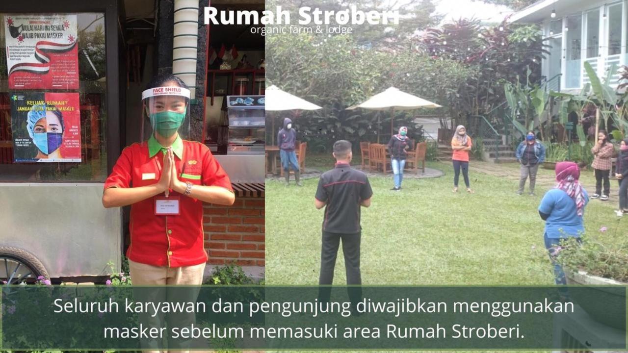 Rumah Stroberi Organic Farm & Family Lodge Lembang Εξωτερικό φωτογραφία