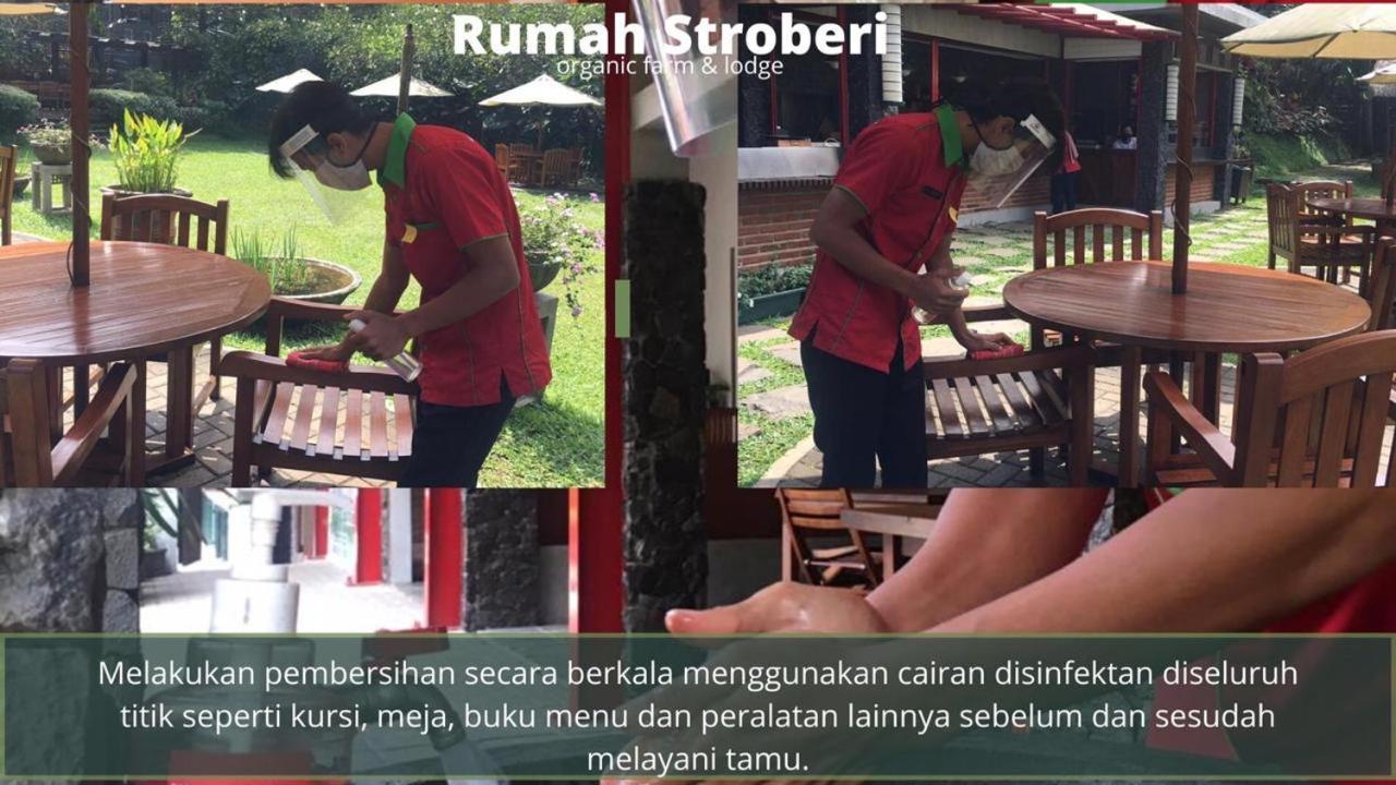 Rumah Stroberi Organic Farm & Family Lodge Lembang Εξωτερικό φωτογραφία
